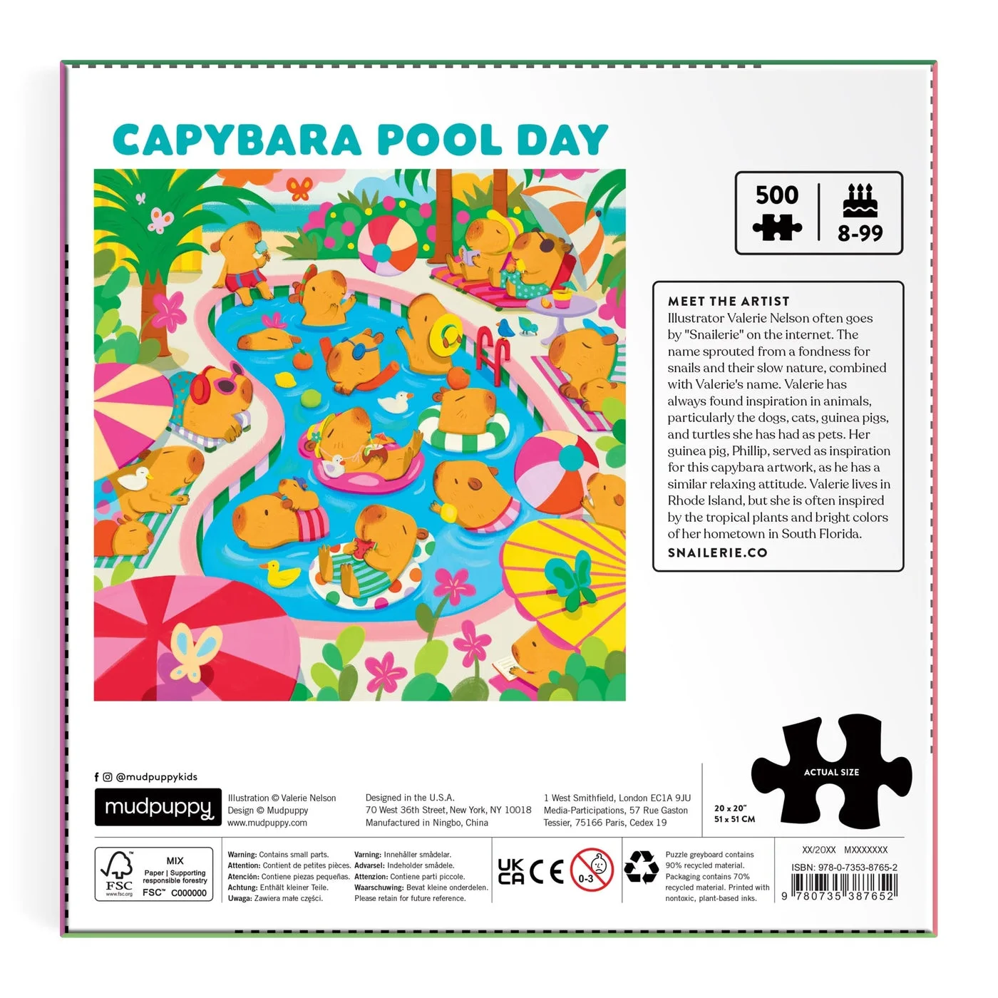 rear packaging with family puzzle information