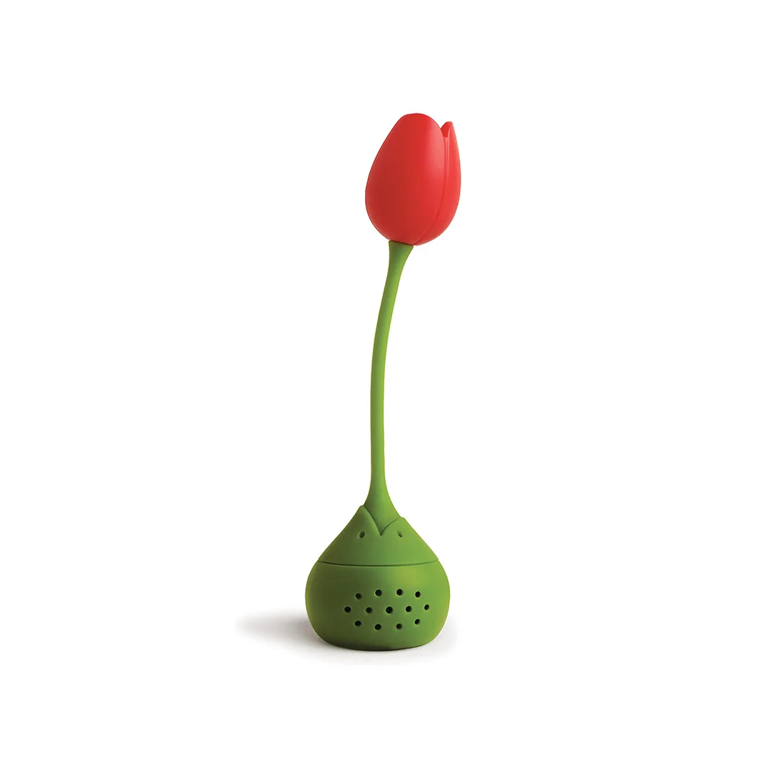 red Tulip infuser