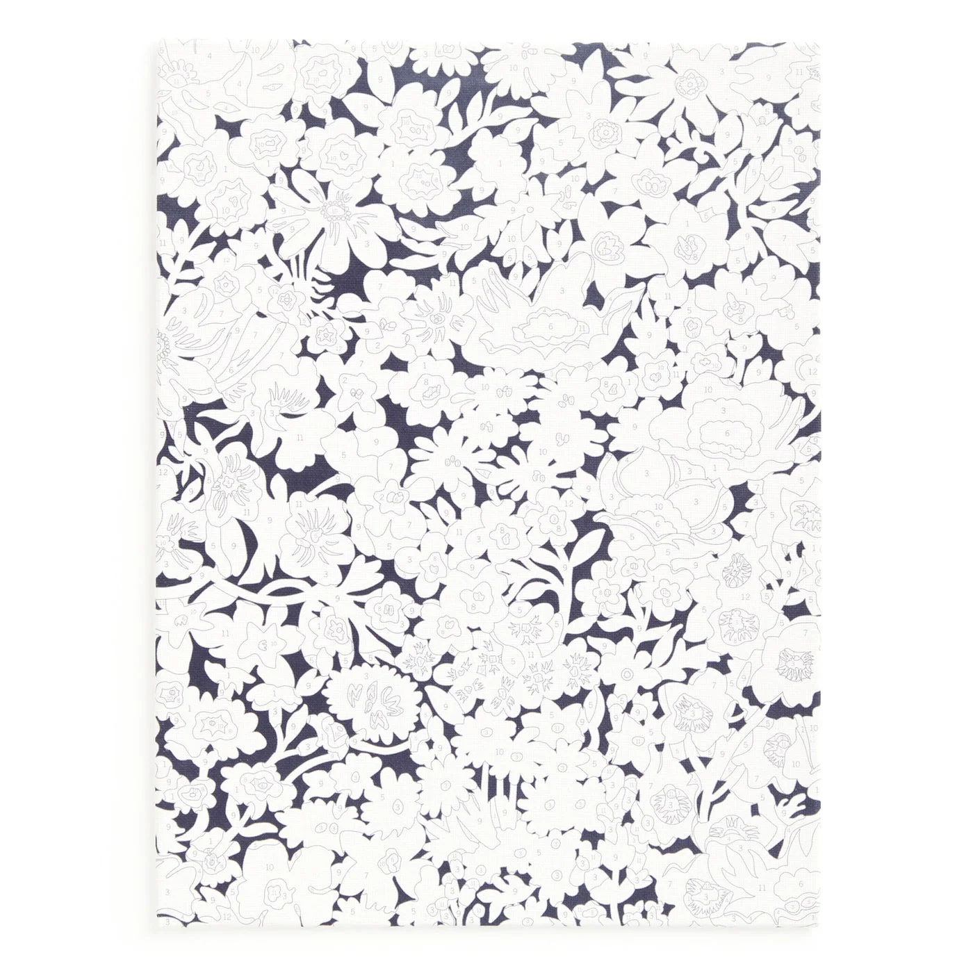 Unpainted numbered canvas