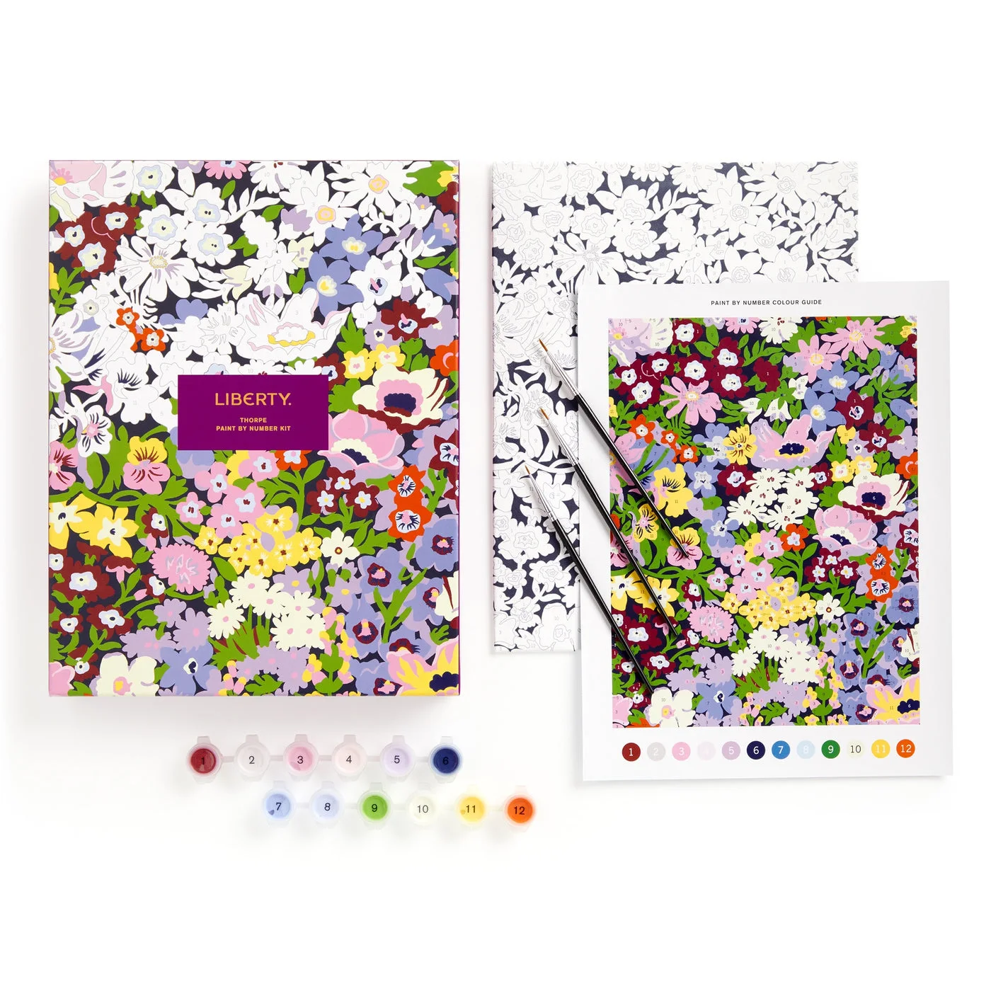Canvas, guide, paints and brushes