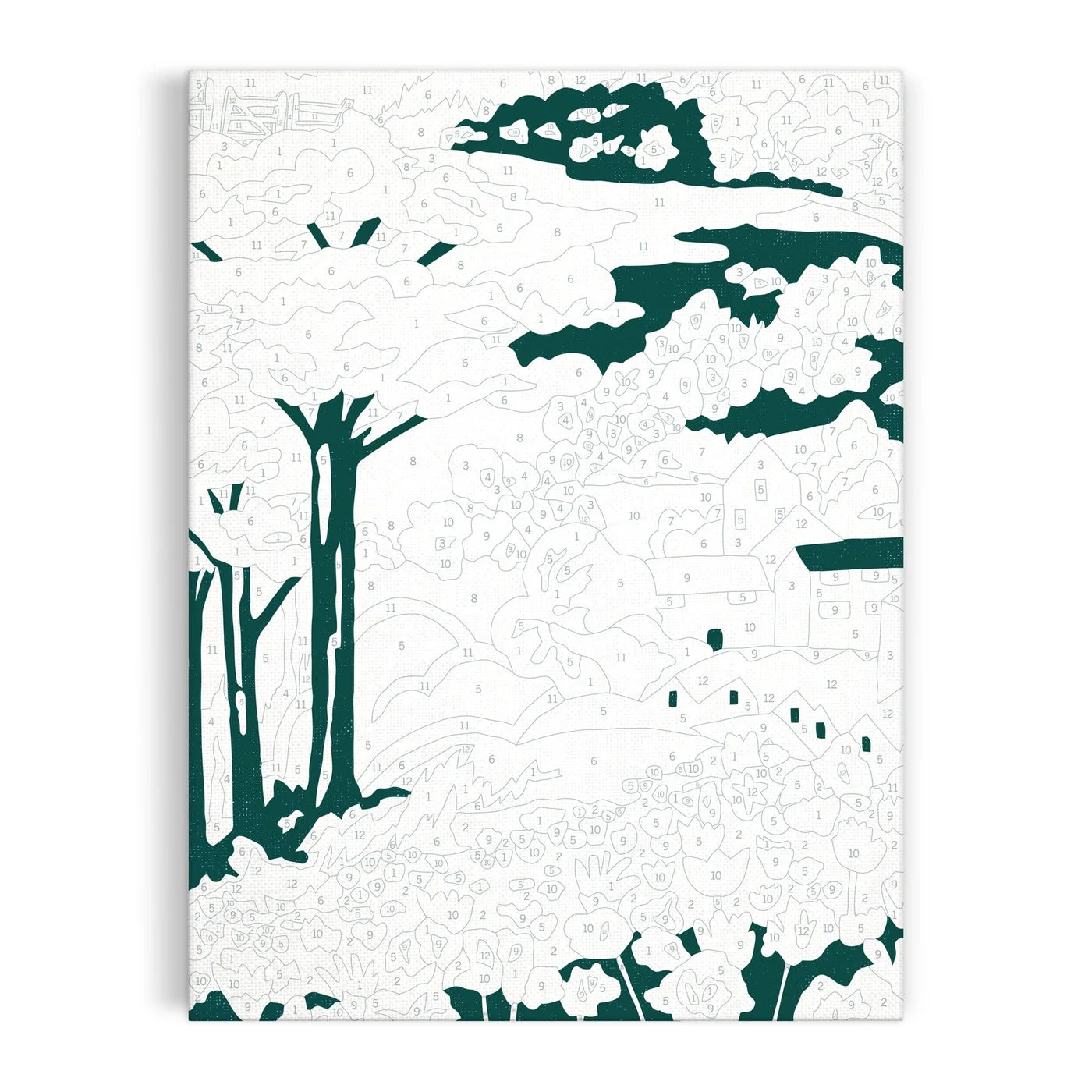 Unpainted numbered canvas